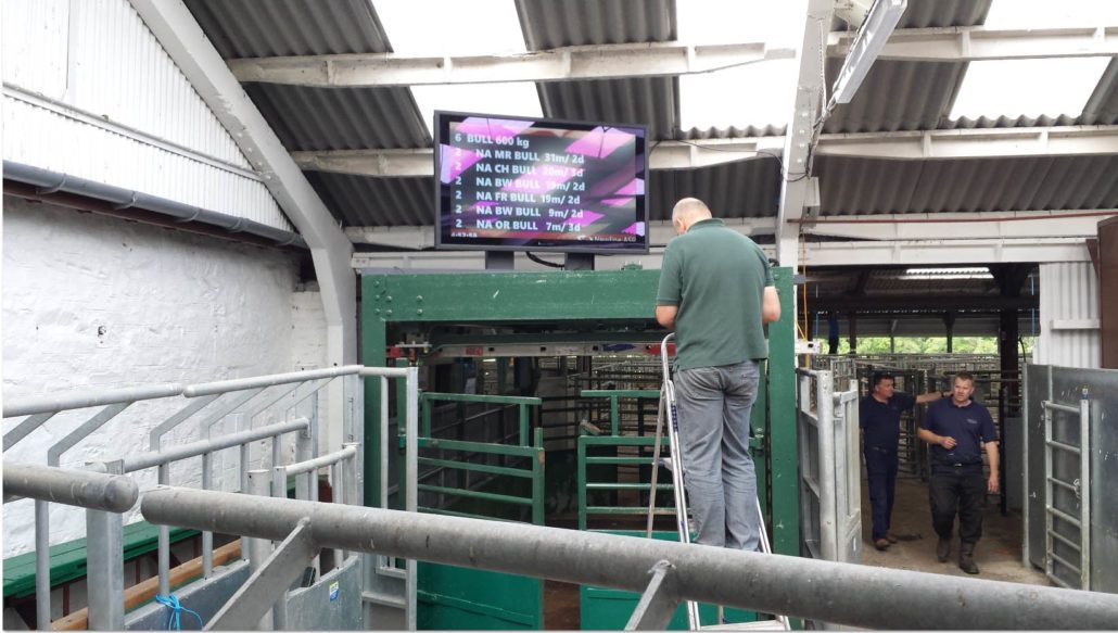 Outdoor TV Display Screen Installation