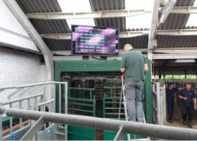 Outdoor TV Display Screen Installation